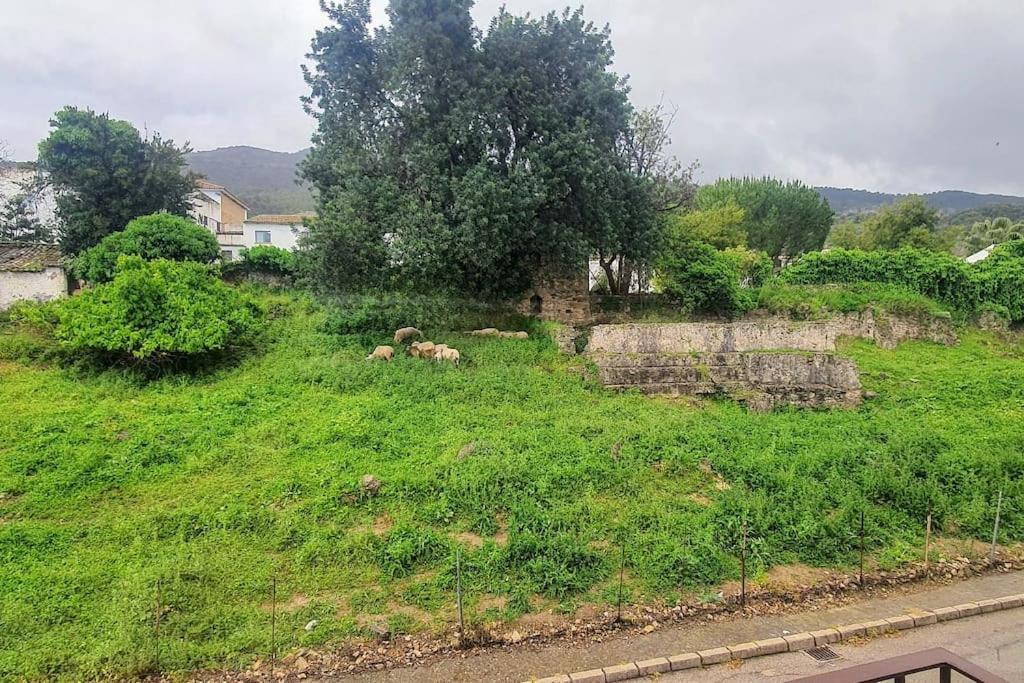 Appartamento La Terracita Del Bosque Esterno foto