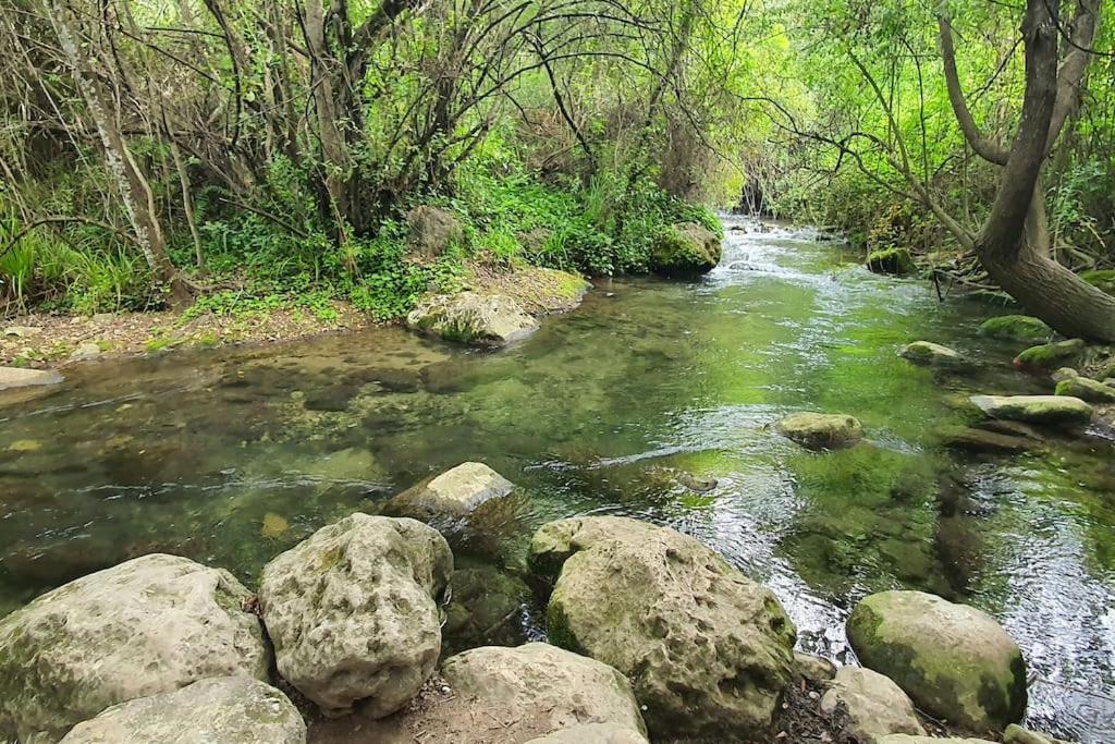 Appartamento La Terracita Del Bosque Esterno foto